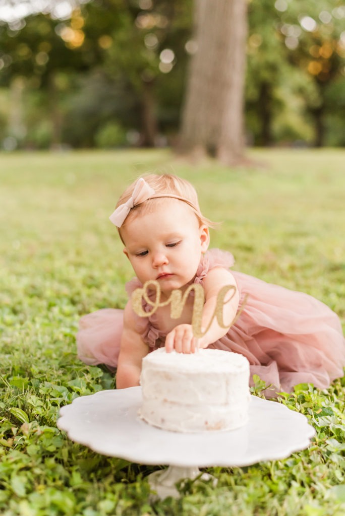 One Year Old Cake Smash - Silver Bee Photography