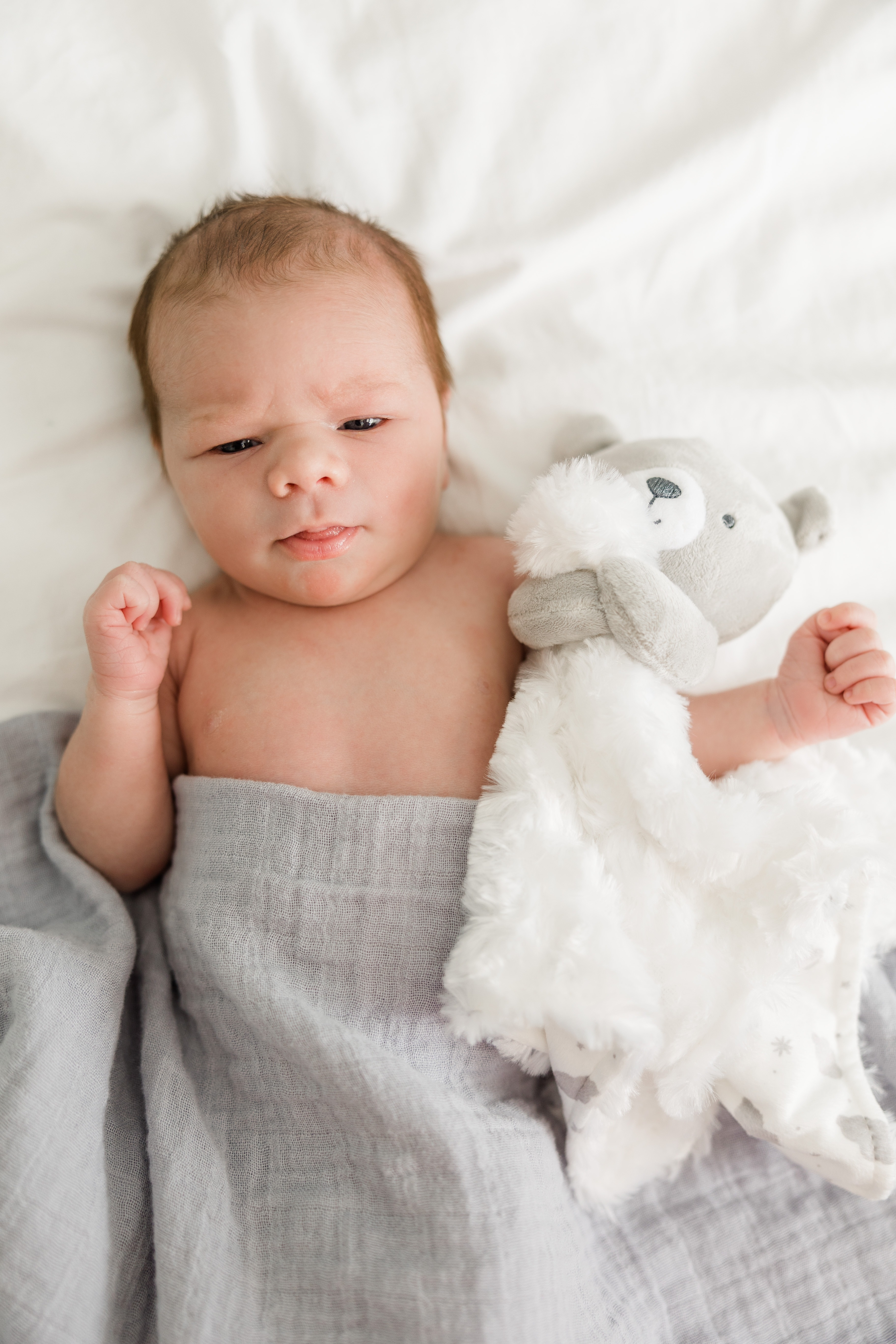 noah newborn photographer