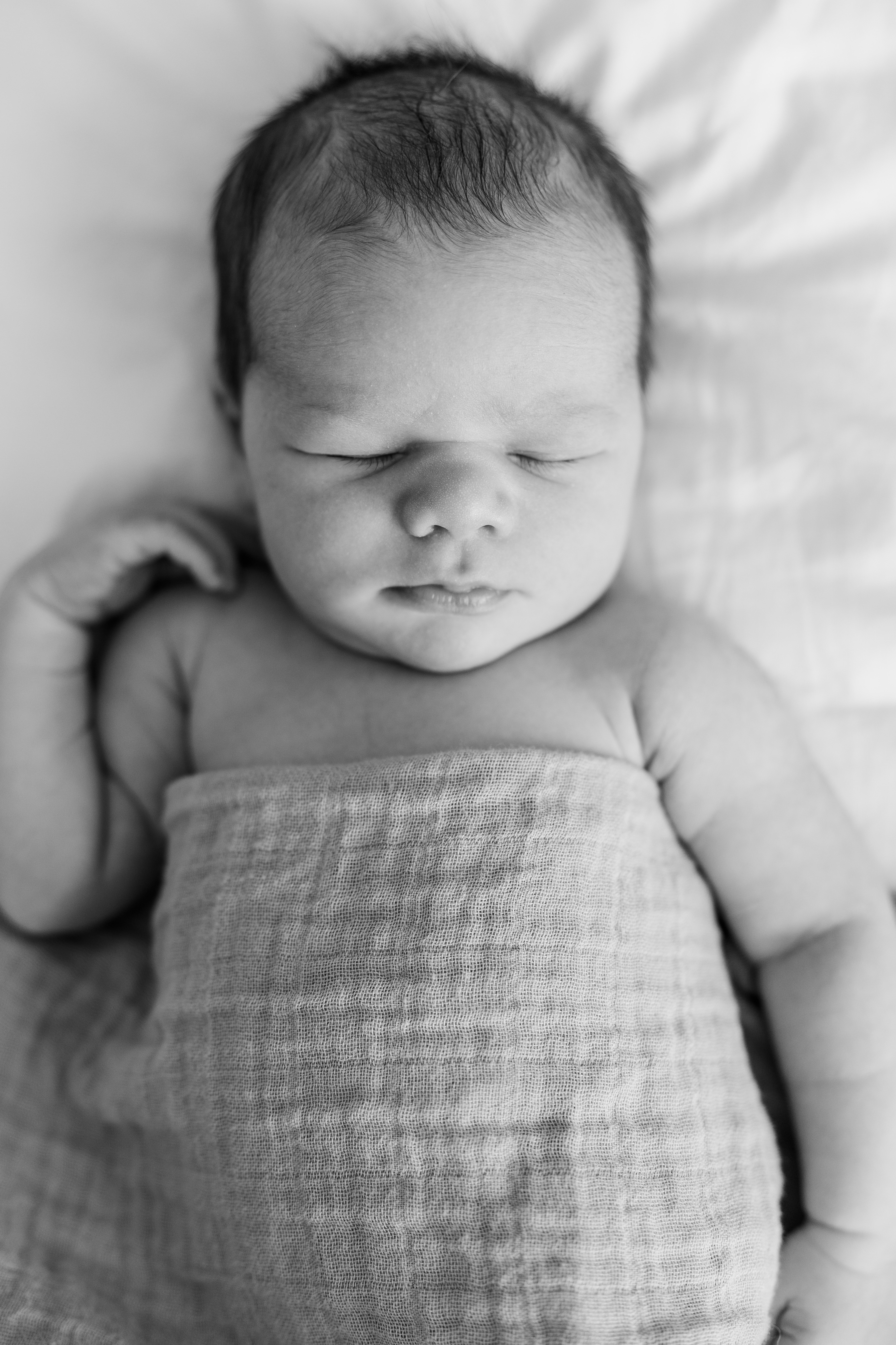 newborn photographer