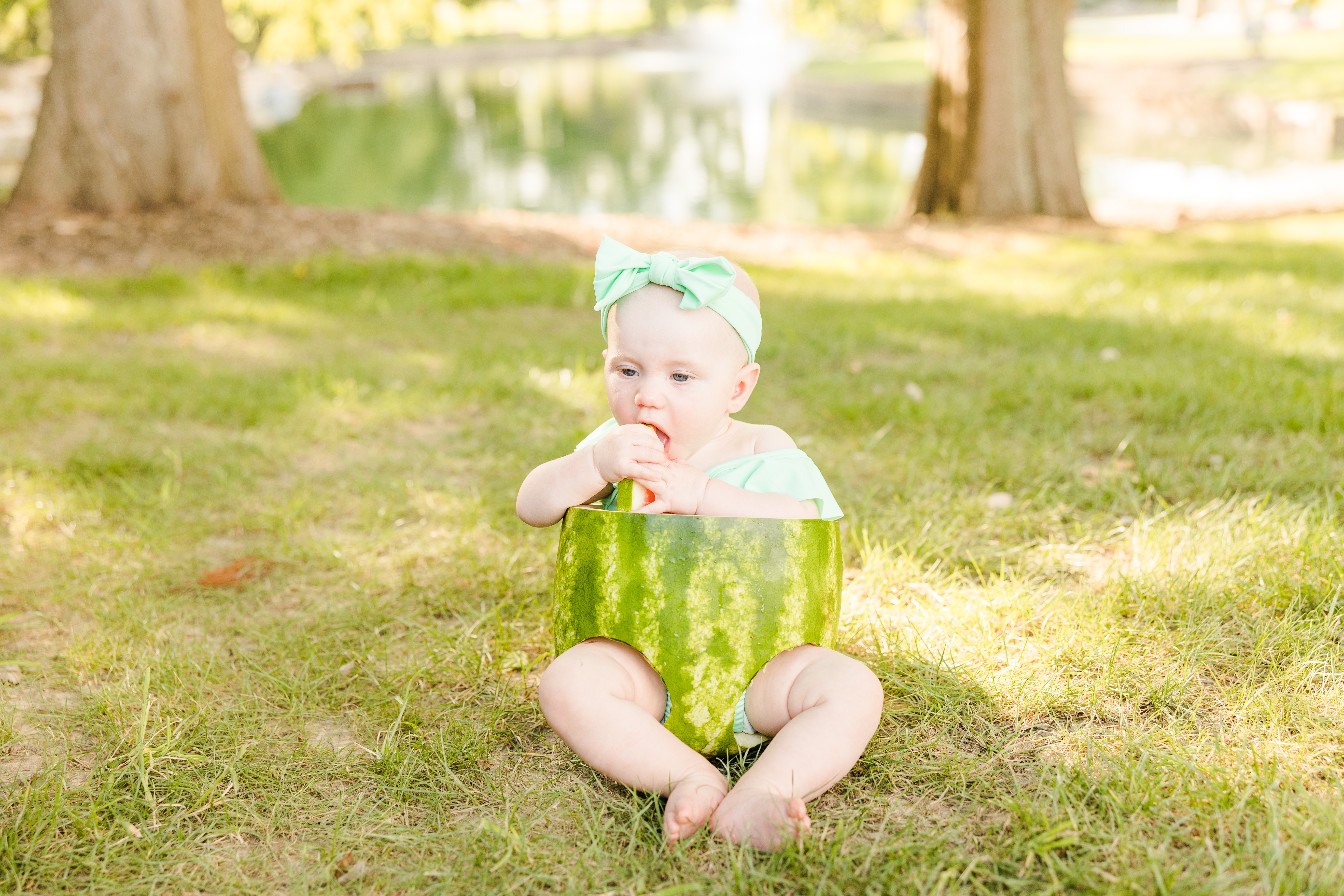 summer watermelon photos