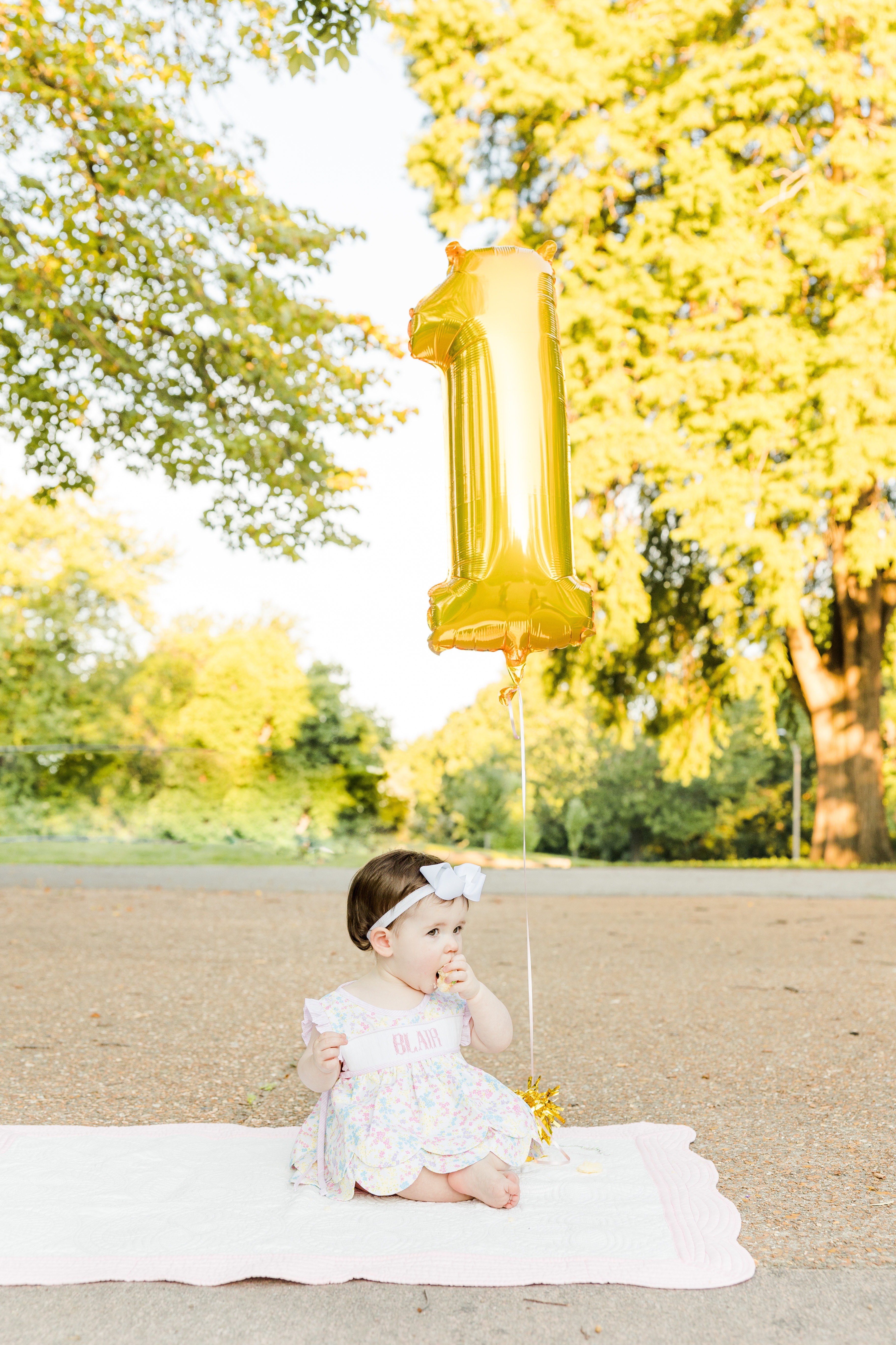 First birthday milestone photos