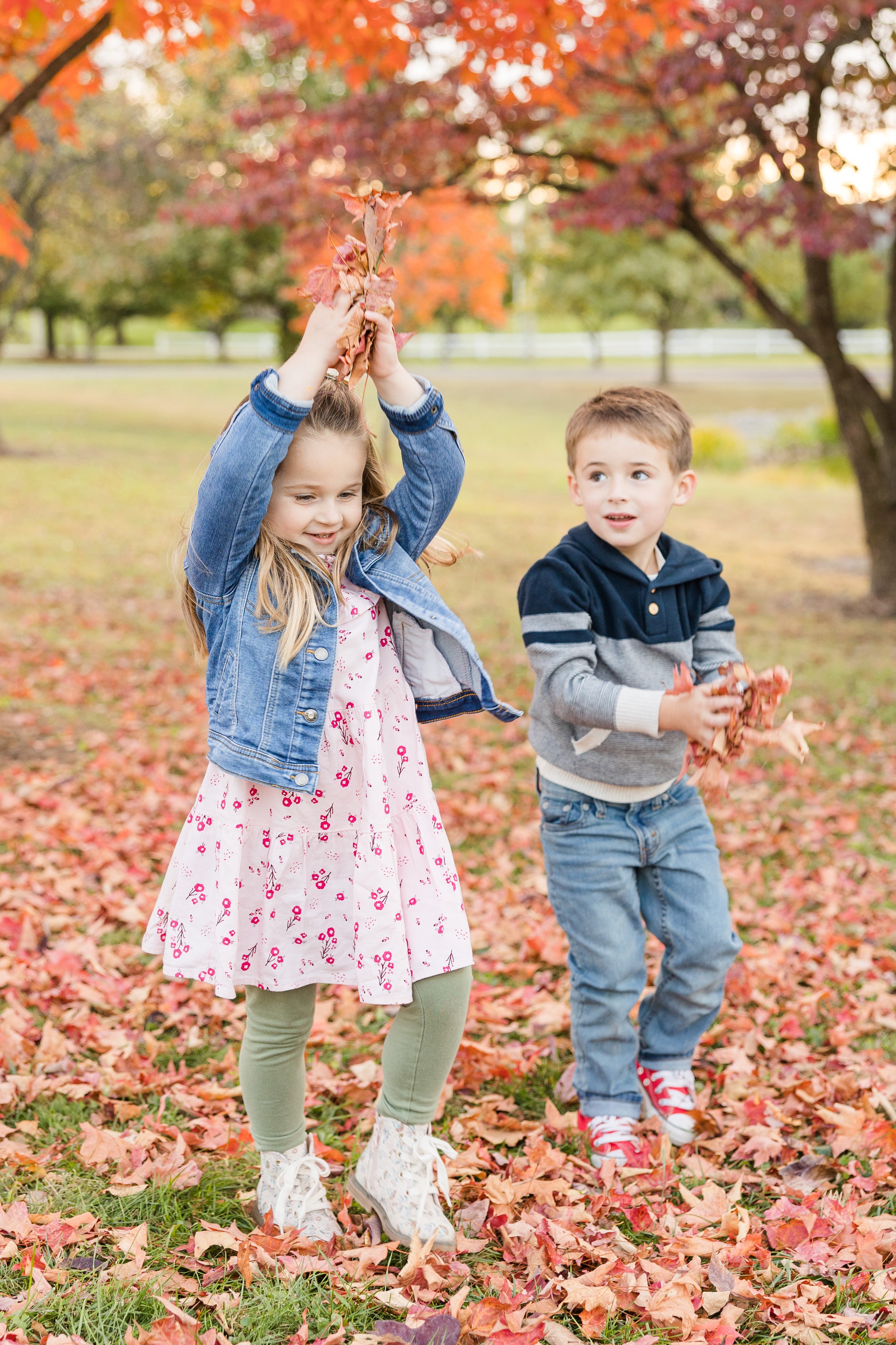 St. Louis Family Photographer