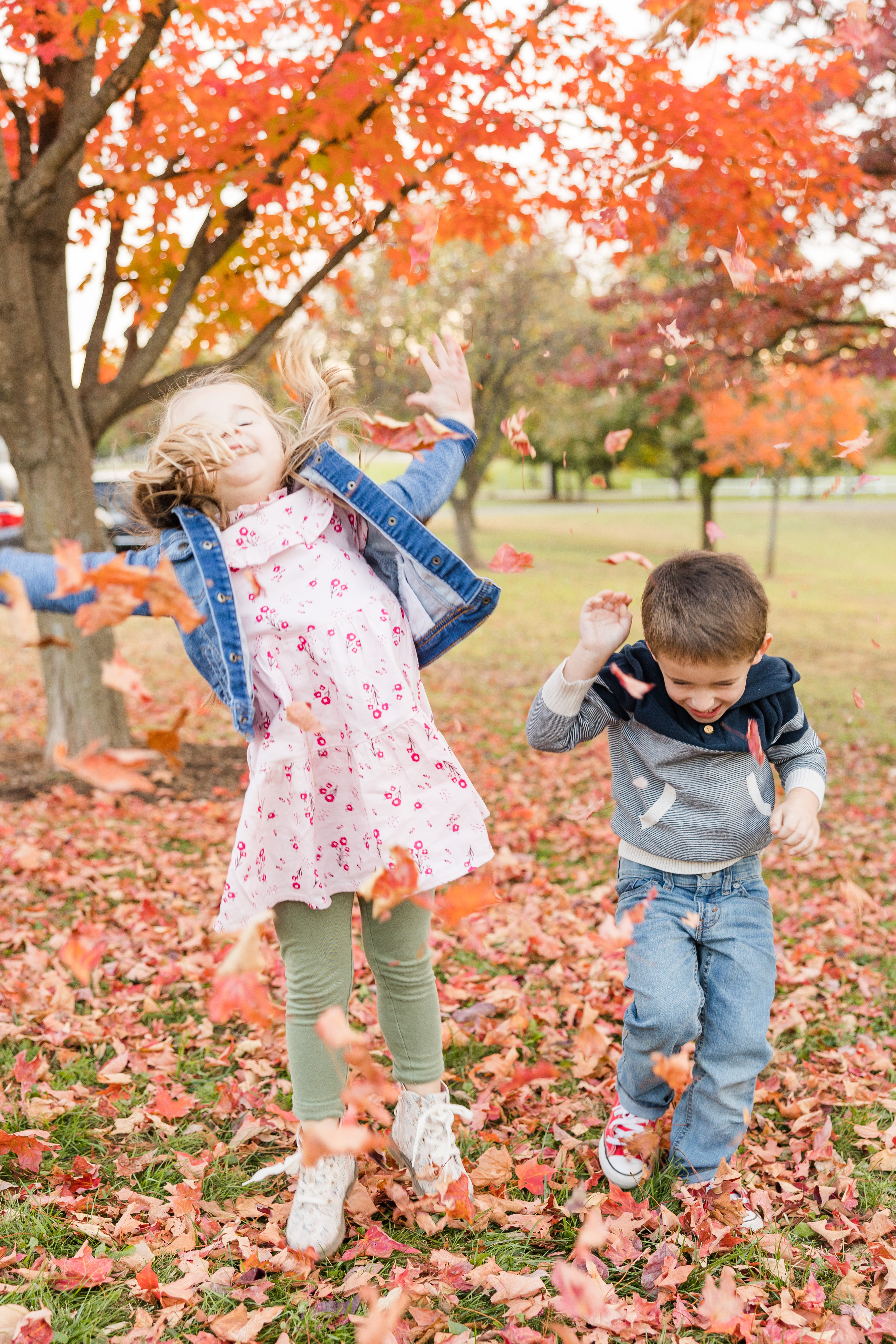 St. Louis Family Photographer